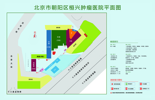 操了个逼肥奶大的骚逼北京市朝阳区桓兴肿瘤医院平面图